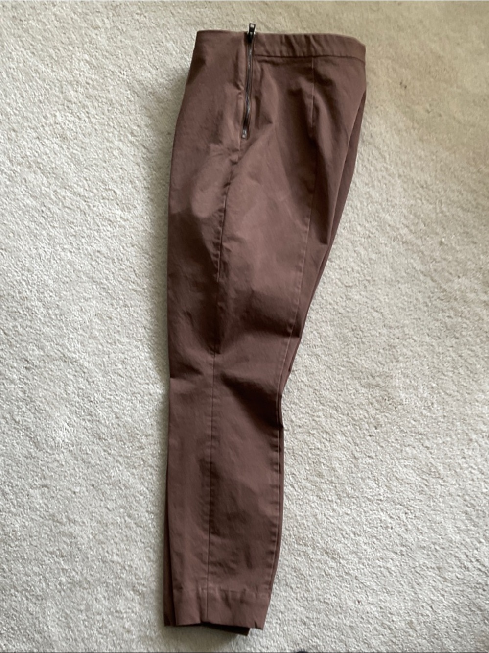 Everlane Cropped Tapered Pants in Brown